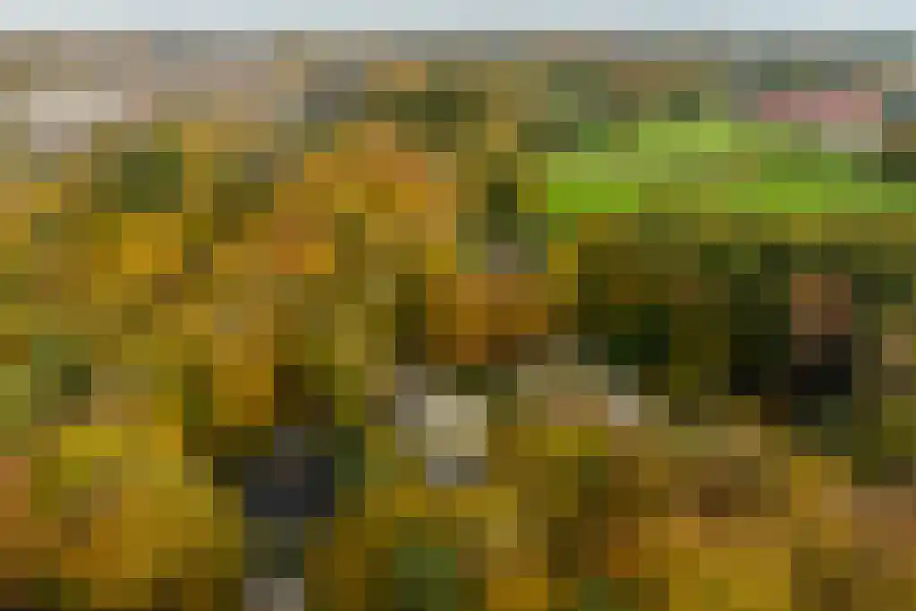 Jan van Riemsdijklaan 1 Heerde thumbnail 83