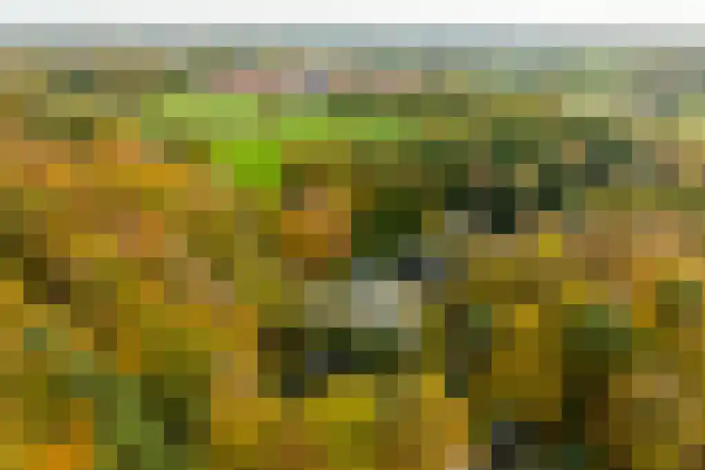 Jan van Riemsdijklaan 1 Heerde thumbnail 84