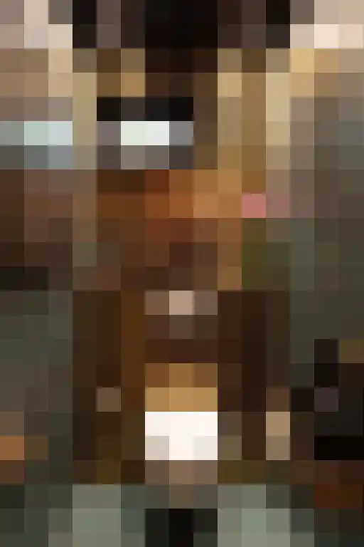 Jan van Riemsdijklaan 1 Heerde thumbnail 9