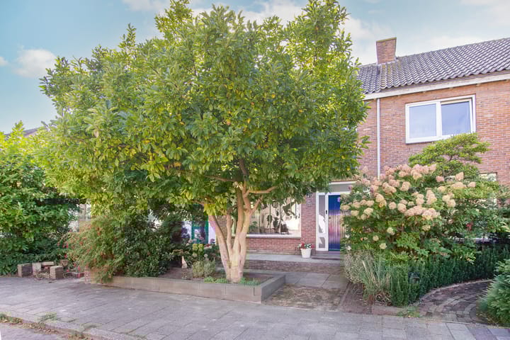 Jan van Rietwijkstraat 12 in Heemskerk Foto