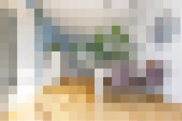 Jan van Rietwijkstraat 12 Heemskerk thumbnail 6