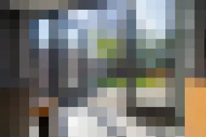 Jan van Rixtelstraat 36 Aarle-Rixtel thumbnail 13