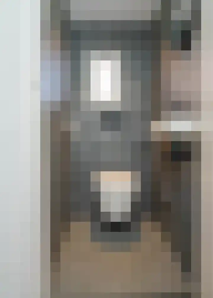 Jan van Rixtelstraat 36 Aarle-Rixtel thumbnail 4