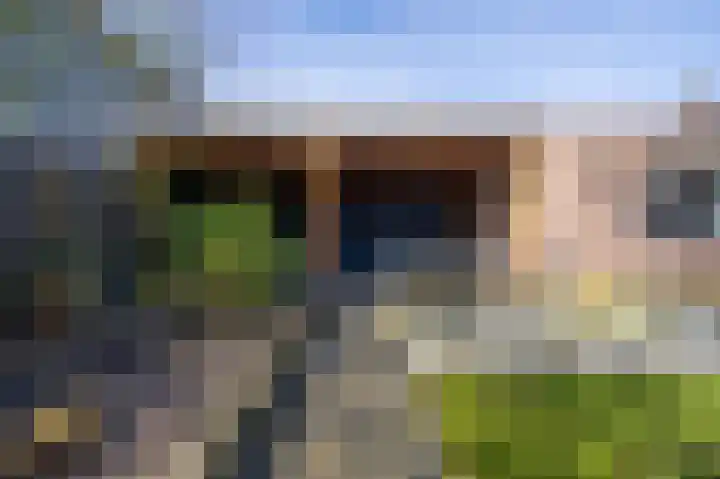 Jan van Rixtelstraat 36 Aarle-Rixtel thumbnail 44