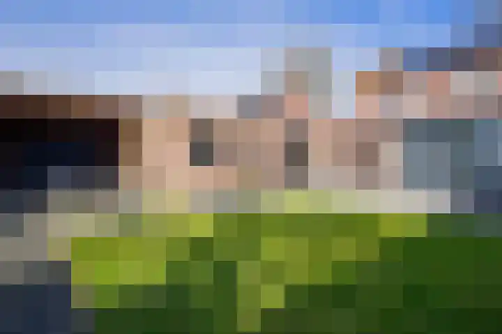 Jan van Rixtelstraat 36 Aarle-Rixtel thumbnail 46