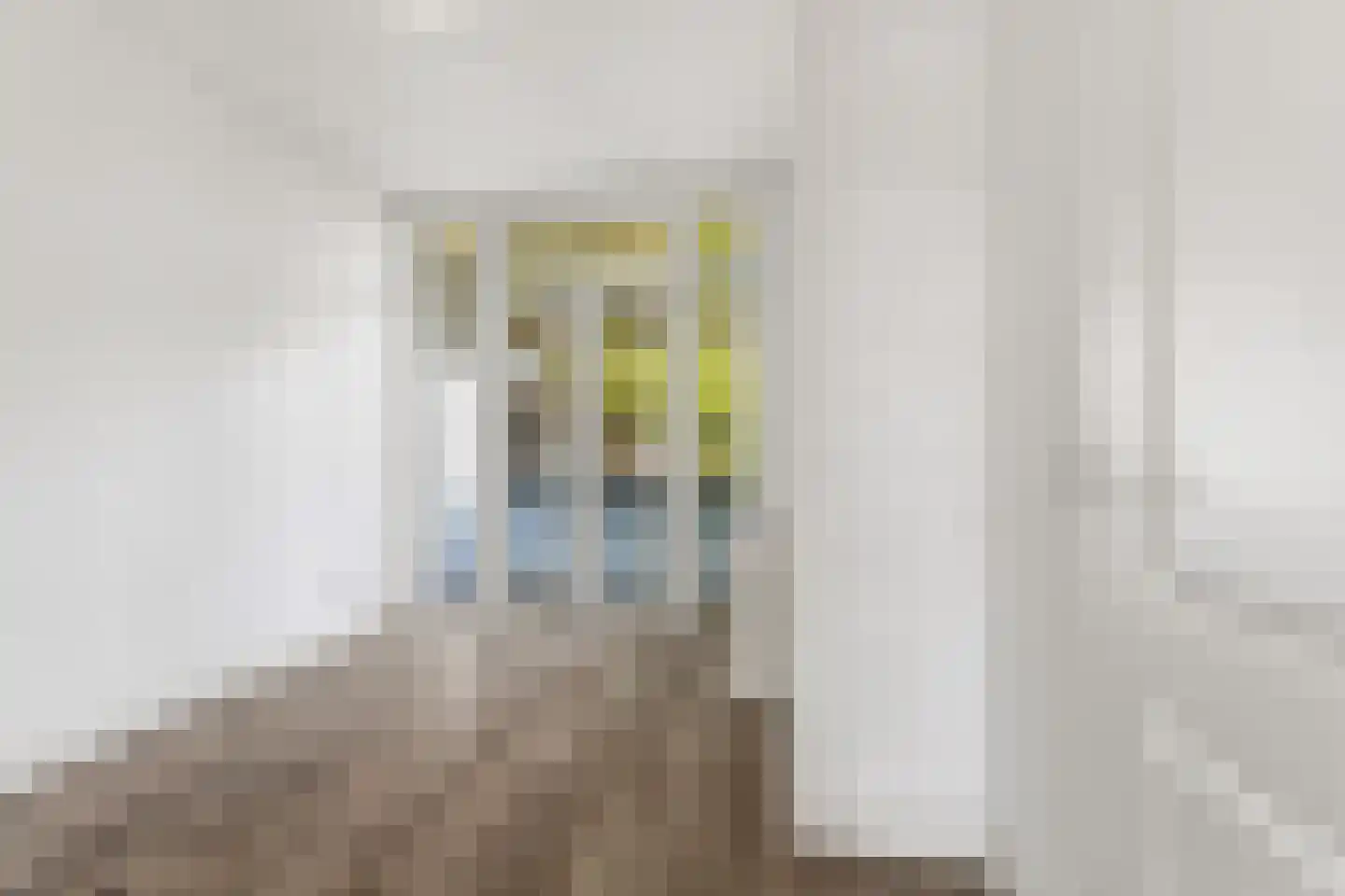 Jan van Rodestraat 112 Den Haag thumbnail 19