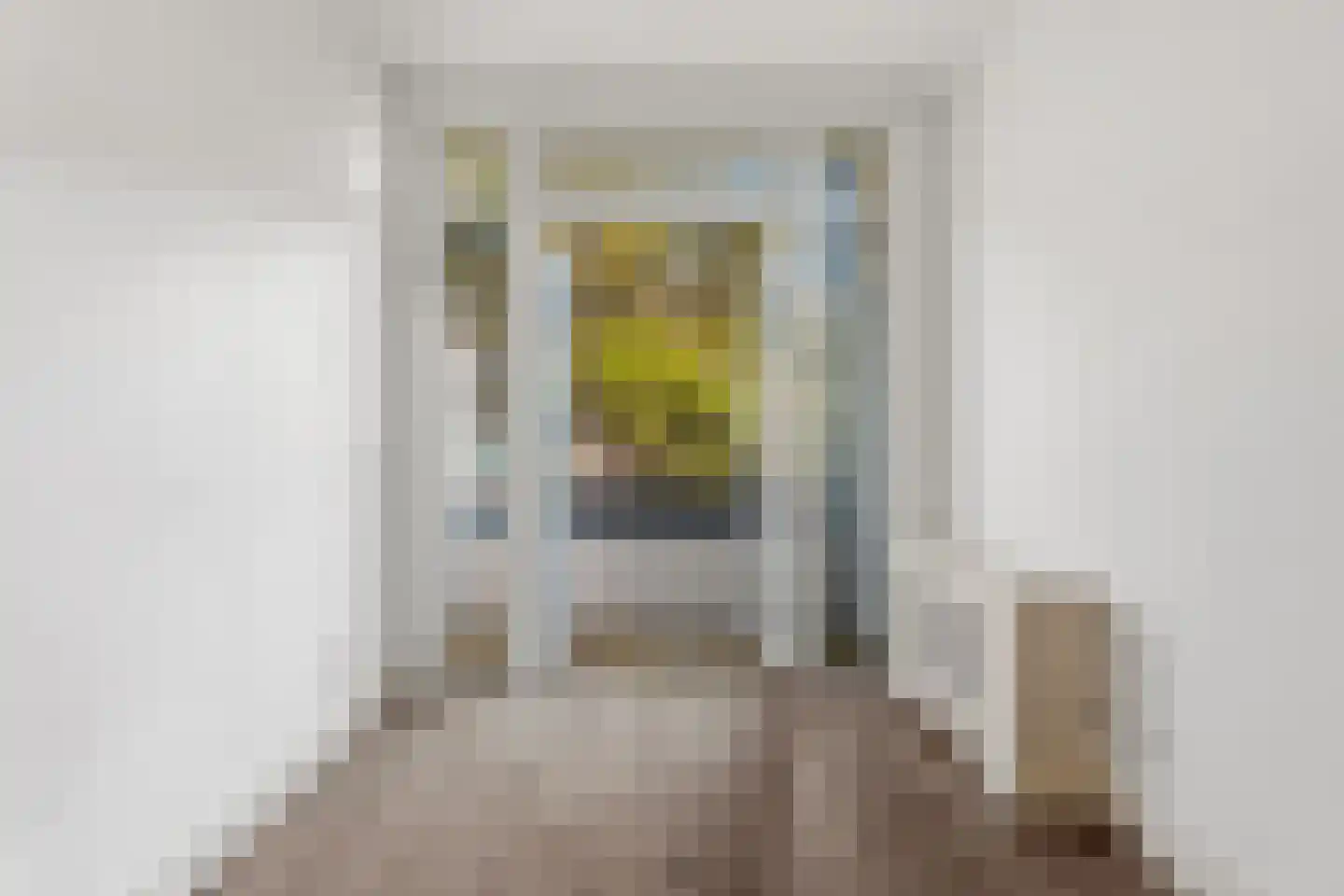 Jan van Rodestraat 112 Den Haag thumbnail 21