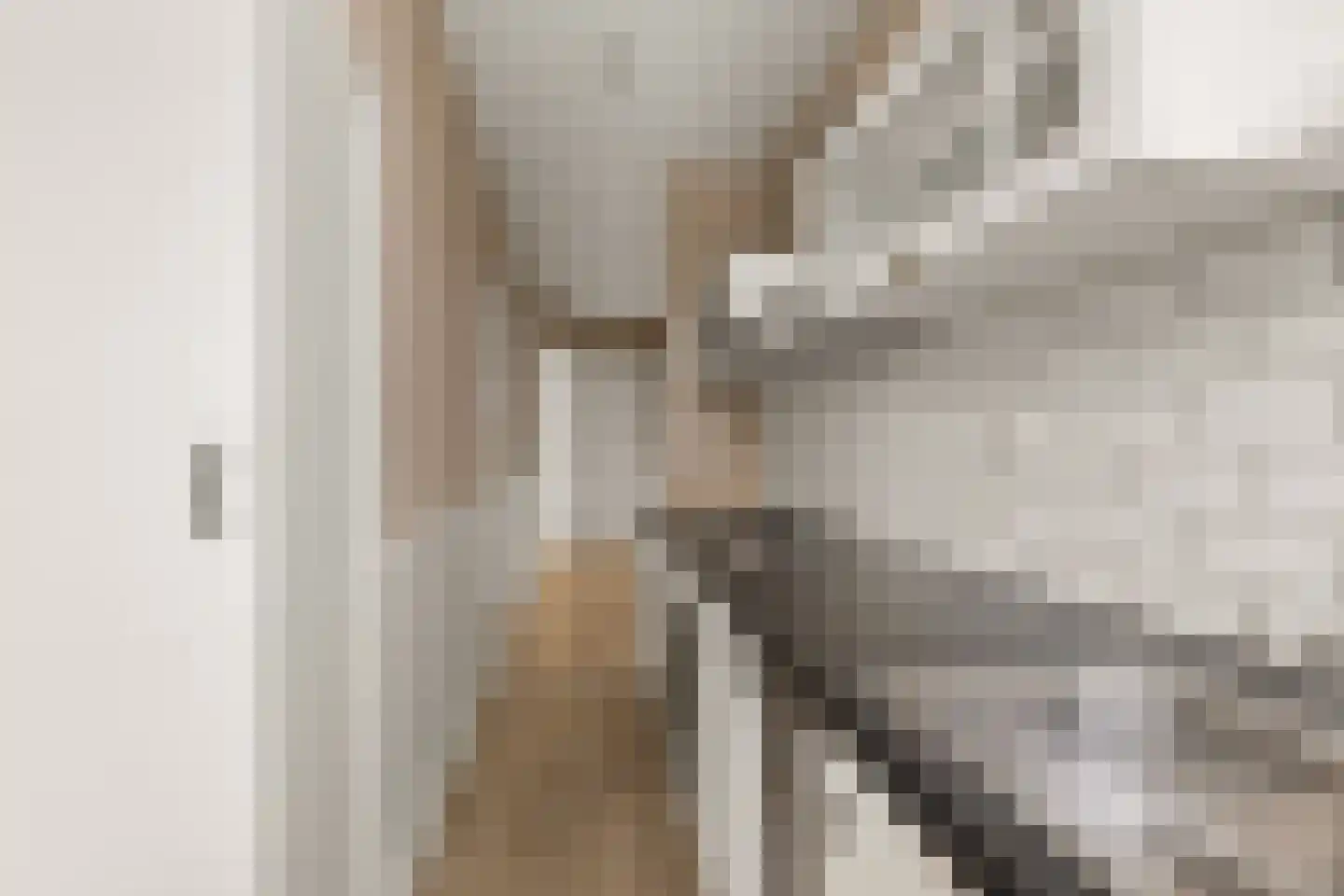 Jan van Rodestraat 92 Den Haag thumbnail 12