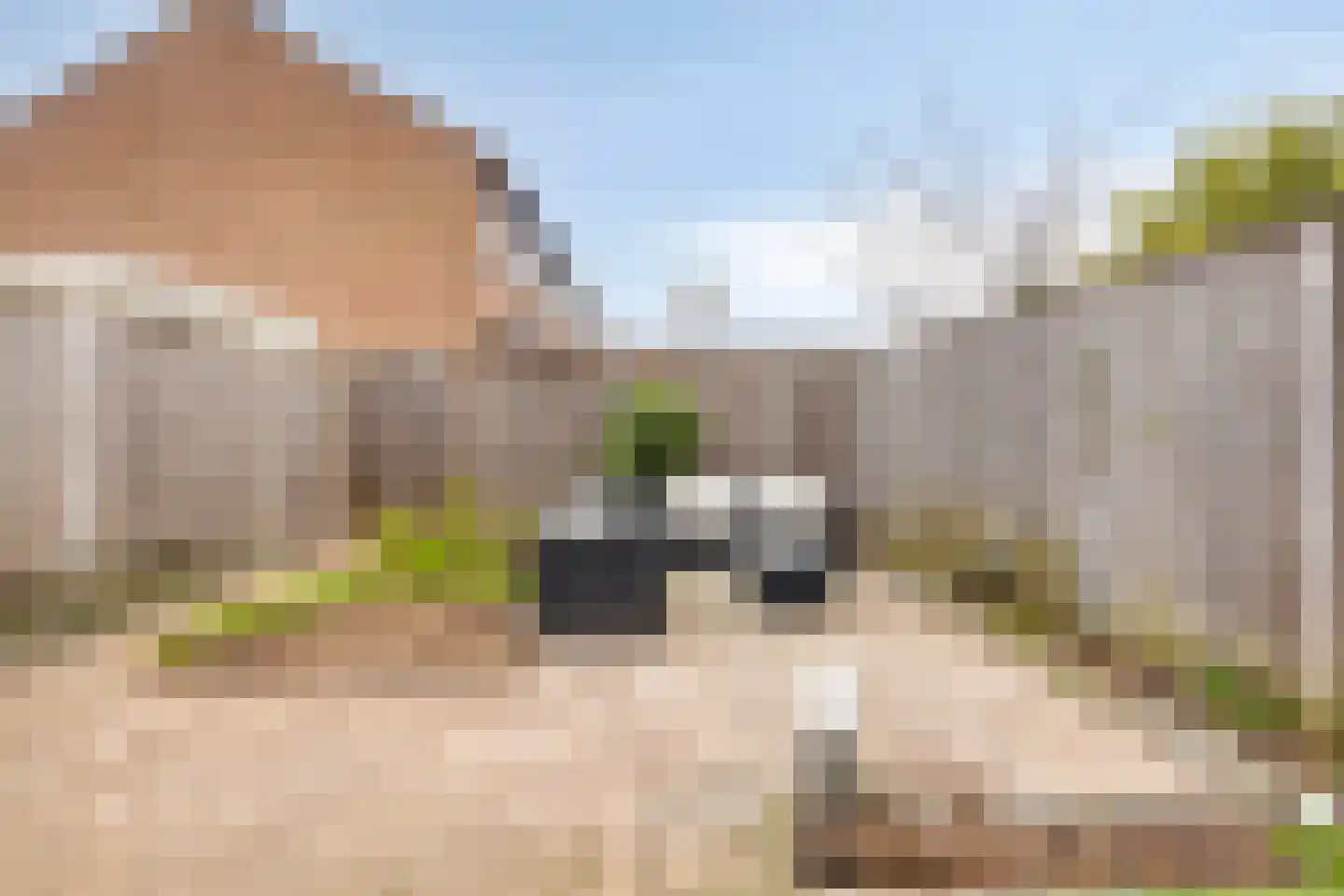 Jan van Rompustraat 23 Terneuzen thumbnail 18