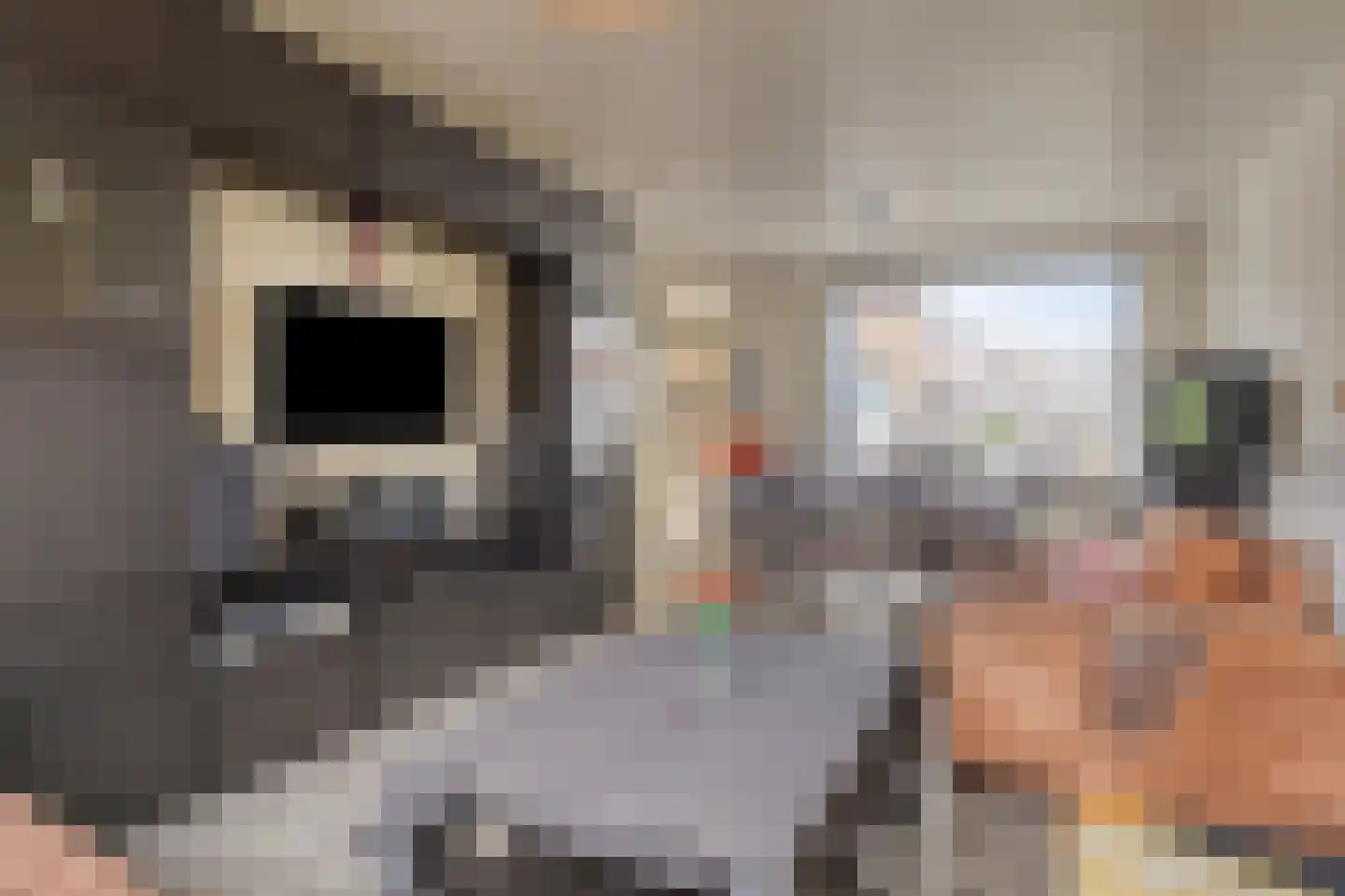 Jan van Rompustraat 23 Terneuzen thumbnail 7