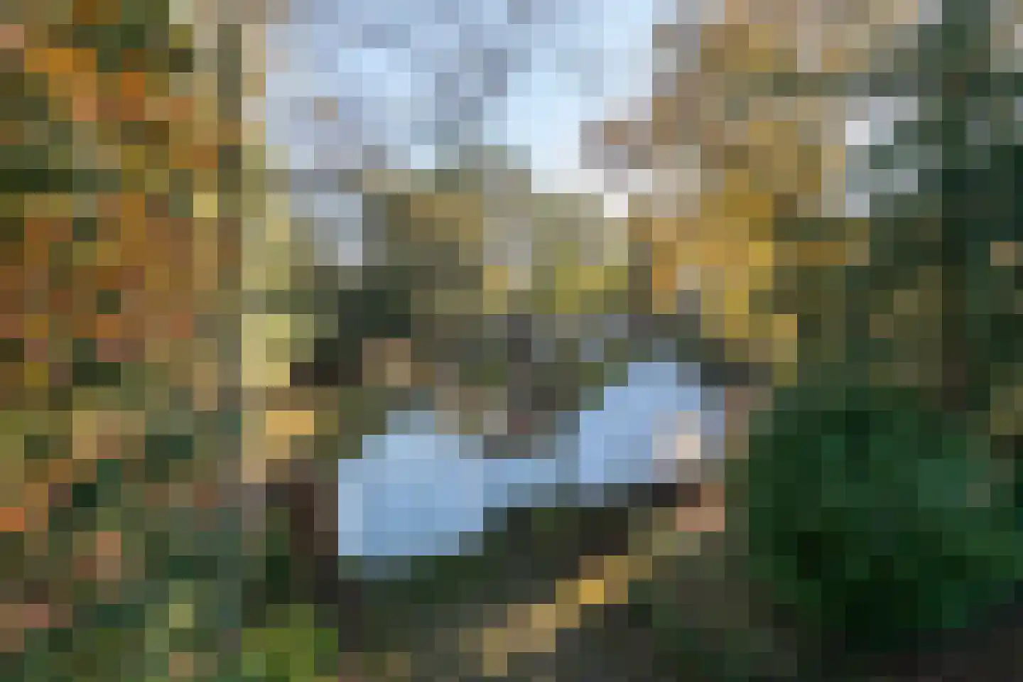 Jan van Rotselaerlaan 4 Waalre thumbnail 33