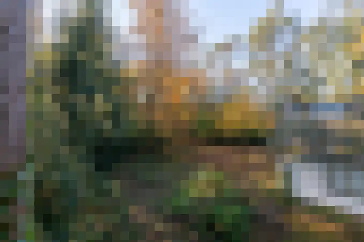 Jan van Rotselaerlaan 4 Waalre thumbnail 41