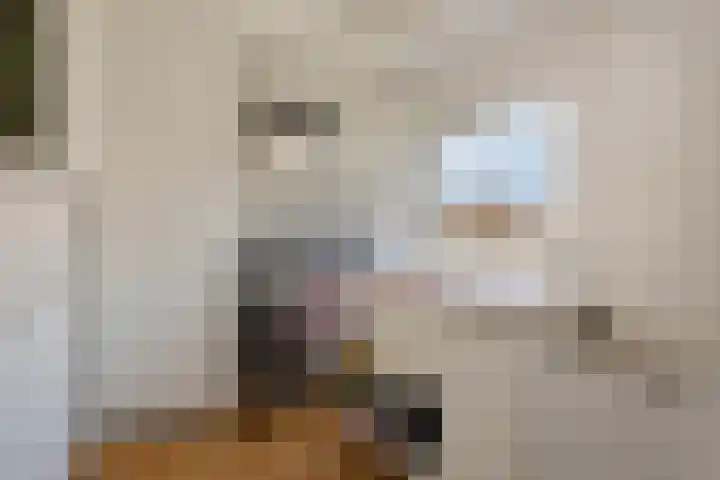 Jan van Ruusbroeckstraat 19 Vught thumbnail 15
