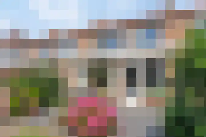 Jan van Ruusbroeckstraat 19 Vught thumbnail 22