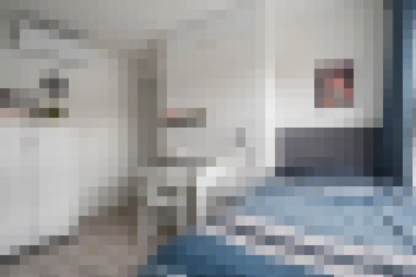 Jan van Ruusbroeckstraat 40 Vught thumbnail 25