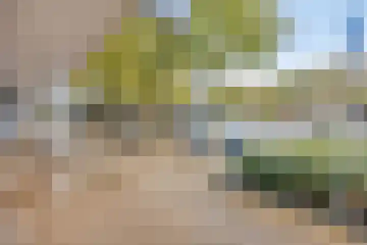Jan van Ruusbroeckstraat 45 Vught thumbnail 22