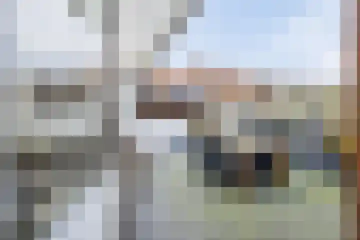 Jan van Ruusbroeckstraat 46 Vught thumbnail 17