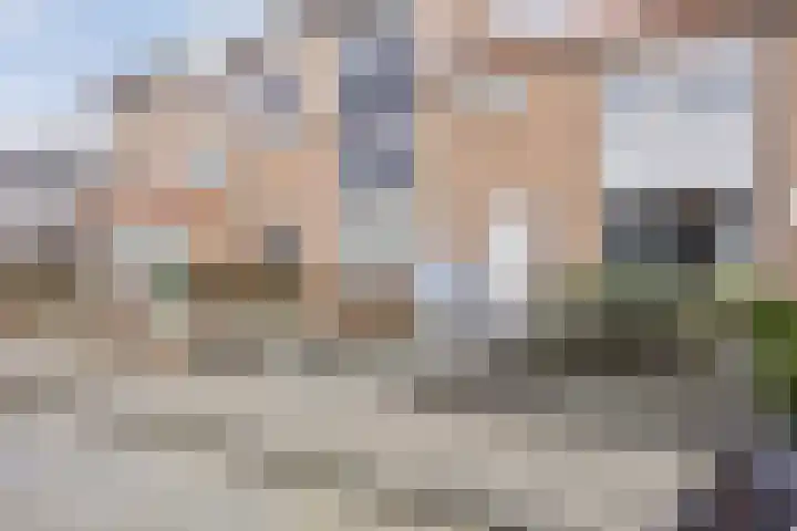 Jan van Ruusbroeckstraat 46 Vught thumbnail 31