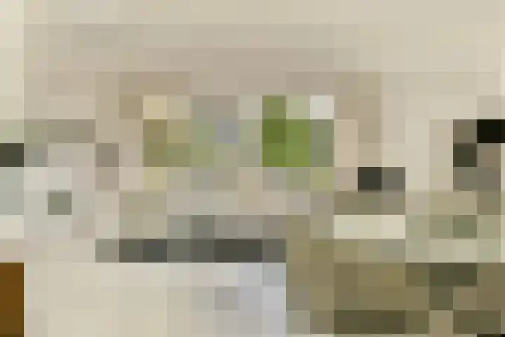 Jan van Ruusbroeclaan 19 Oegstgeest thumbnail 11