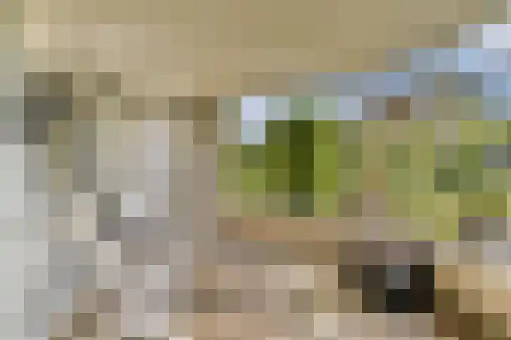 Jan van Ruusbroeclaan 19 Oegstgeest thumbnail 13
