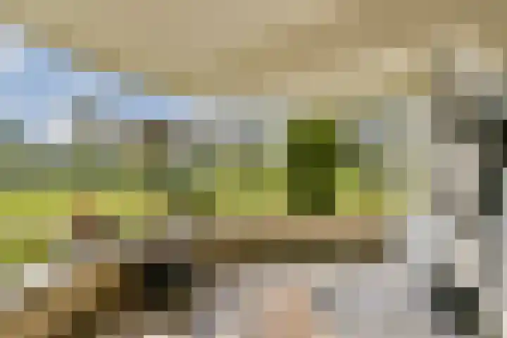 Jan van Ruusbroeclaan 19 Oegstgeest thumbnail 14