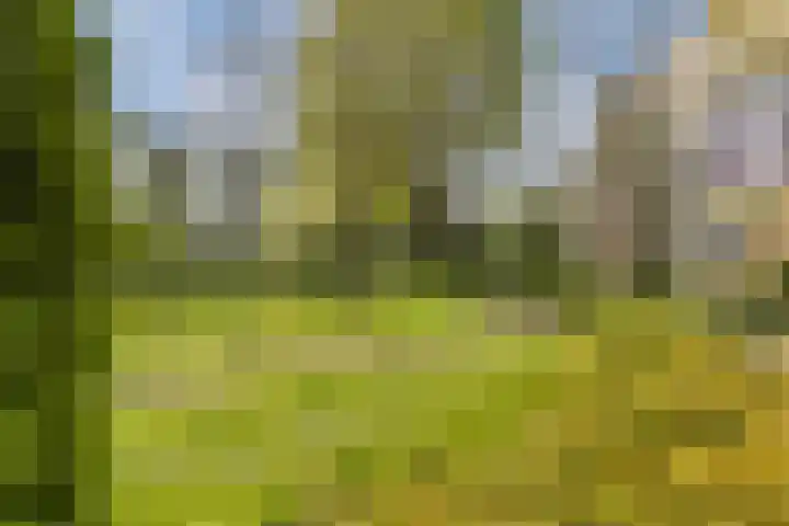 Jan van Ruusbroeclaan 19 Oegstgeest thumbnail 15