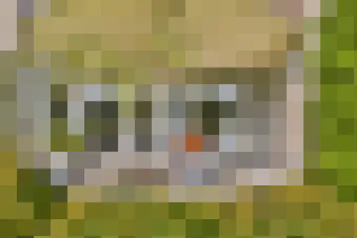 Jan van Ruusbroeclaan 19 Oegstgeest thumbnail 16