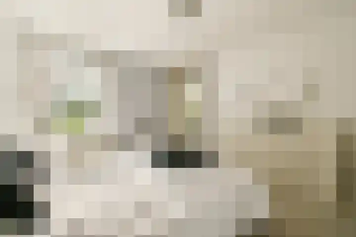 Jan van Ruusbroeclaan 19 Oegstgeest thumbnail 19