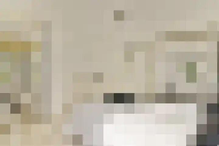 Jan van Ruusbroeclaan 19 Oegstgeest thumbnail 20