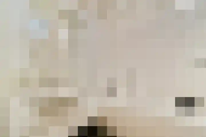 Jan van Ruusbroeclaan 19 Oegstgeest thumbnail 22