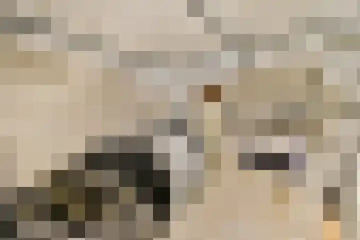 Jan van Ruusbroeclaan 19 Oegstgeest thumbnail 27