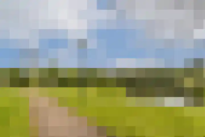 Jan van Ruusbroeclaan 19 Oegstgeest thumbnail 28