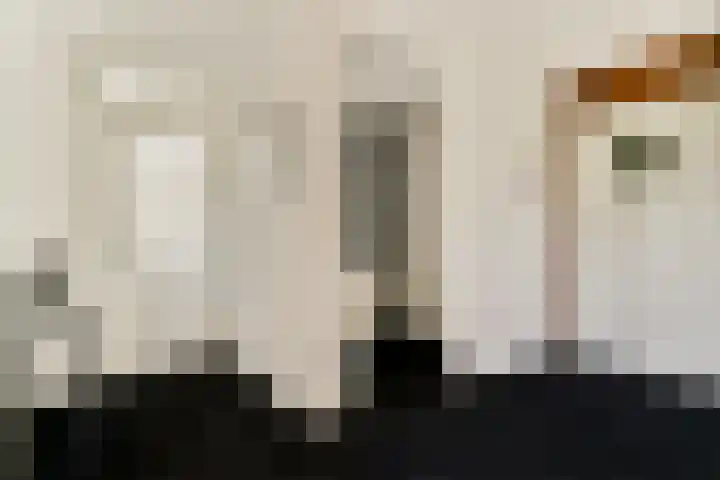 Jan van Ruusbroeclaan 19 Oegstgeest thumbnail 4