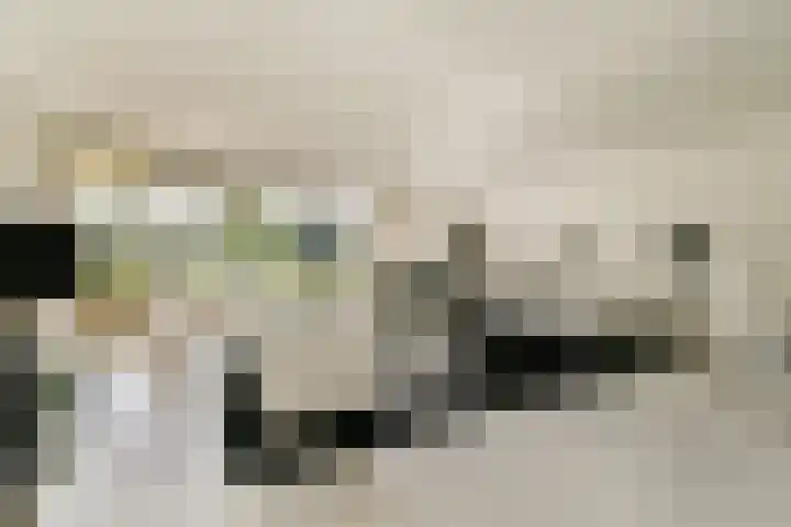 Jan van Ruusbroeclaan 19 Oegstgeest thumbnail 5