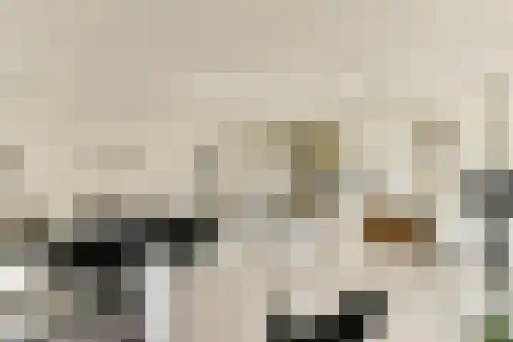 Jan van Ruusbroeclaan 19 Oegstgeest thumbnail 8
