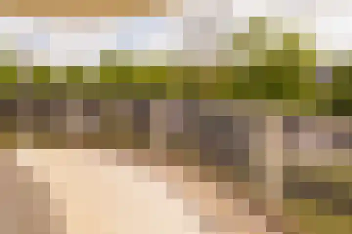 Jan van Ruusbroeclaan 33 Oegstgeest thumbnail 20