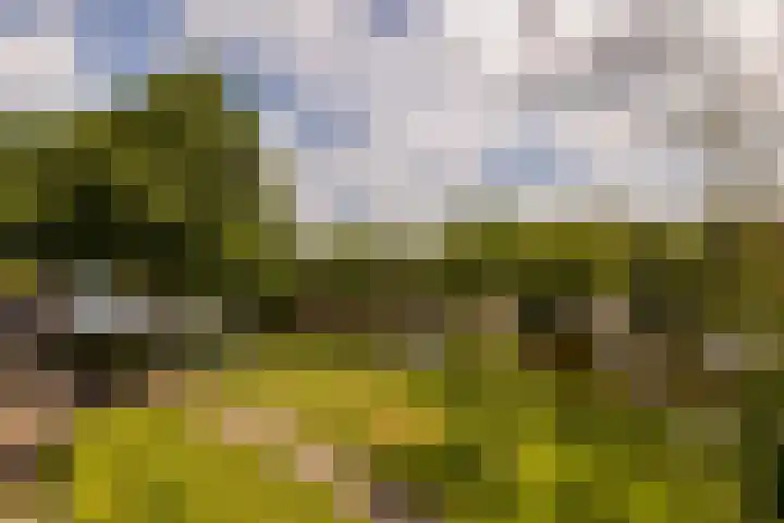 Jan van Ruusbroeclaan 33 Oegstgeest thumbnail 21