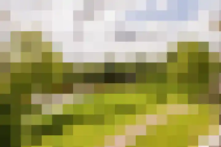 Jan van Ruusbroeclaan 33 Oegstgeest thumbnail 22