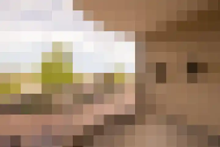 Jan van Ruusbroeclaan 33 Oegstgeest thumbnail 28