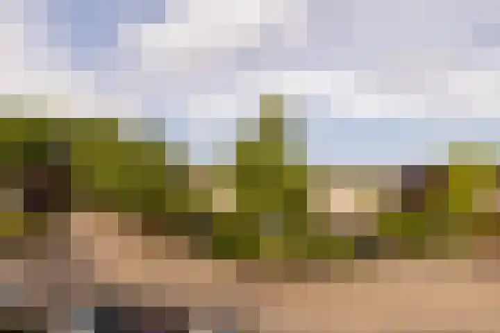 Jan van Ruusbroeclaan 33 Oegstgeest thumbnail 29