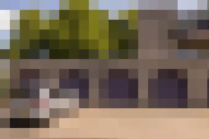 Jan van Ruusbroeclaan 33 Oegstgeest thumbnail 30