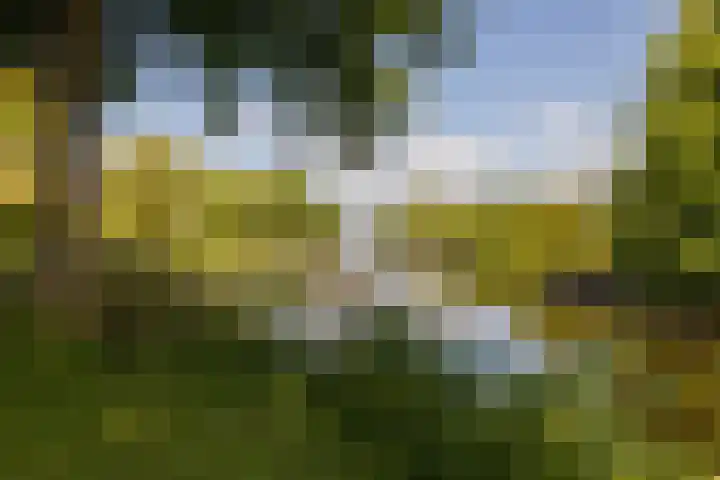 Jan van Ruusbroeclaan 33 Oegstgeest thumbnail 31
