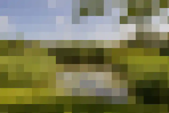 Jan van Ruusbroeclaan 33 Oegstgeest thumbnail 32