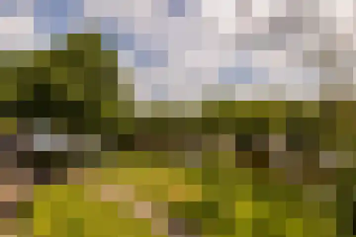 Jan van Ruusbroeclaan 33 Oegstgeest thumbnail 4