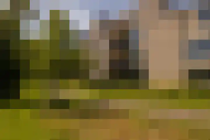 Jan van Ruusbroeclaan 33 Oegstgeest thumbnail 8