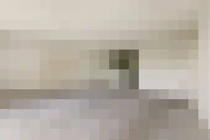 Jan van Ruusbroeclaan 73 Oegstgeest thumbnail 14