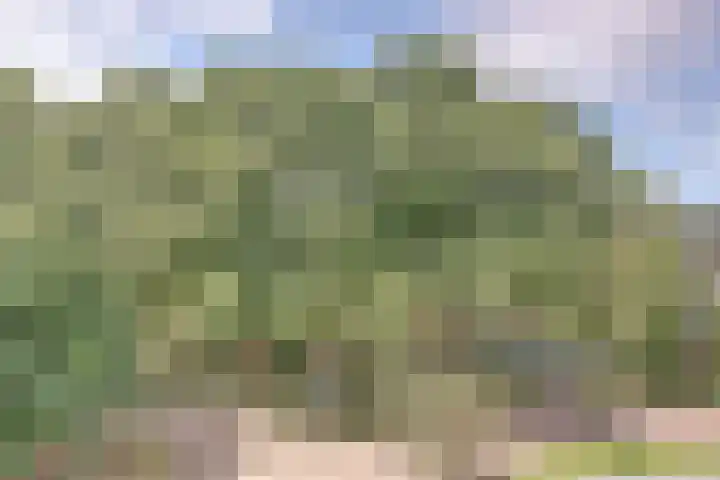 Jan van Ruusbroeclaan 73 Oegstgeest thumbnail 17
