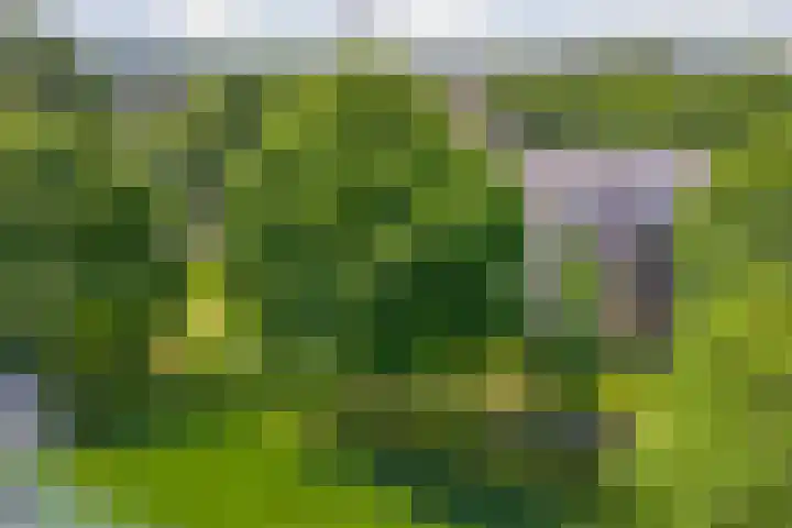 Jan van Ruusbroeclaan 73 Oegstgeest thumbnail 32