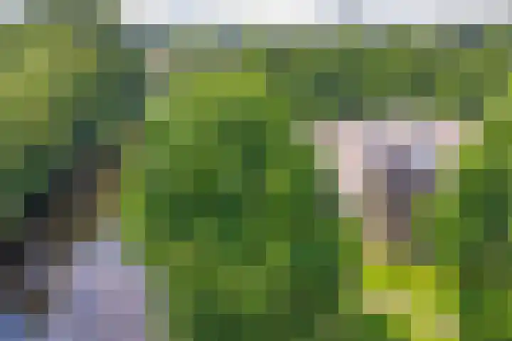 Jan van Ruusbroeclaan 73 Oegstgeest thumbnail 33