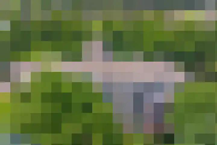 Jan van Ruusbroeclaan 73 Oegstgeest thumbnail 34